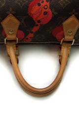 Sac Ramages Speedy 30 - Monogramme Grenade