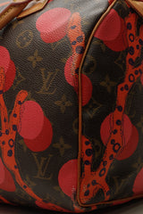 Sac Ramages Speedy 30 - Monogramme Grenade