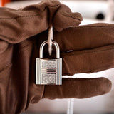 Hermès Birkin 30 Crocodile Niloticus Mat Himalaya avec Diamants et Accastillage en Or Blanc